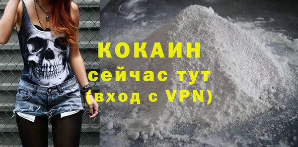 дживик Аркадак